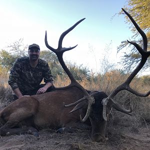 Argentina Hunting Red Stag