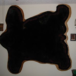 Black Bear Rug