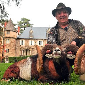 Hunting Mouflon France