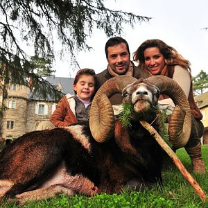 France Hunt Mouflon