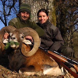 Mouflon Hunting in France