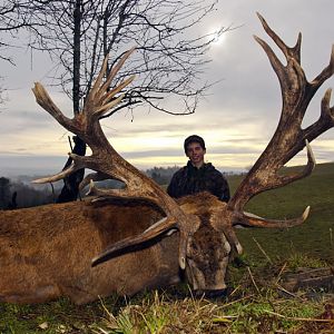 Hunting Red Stag France