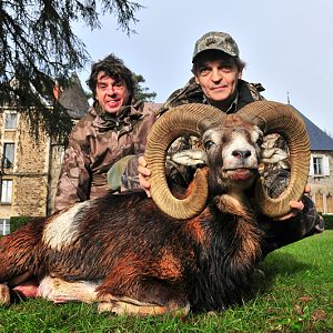 Mouflon Hunting in France