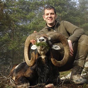 Hunt Mouflon France