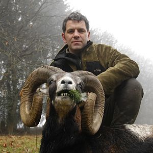 France Hunting Mouflon