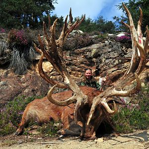 Hunting Red Stag France