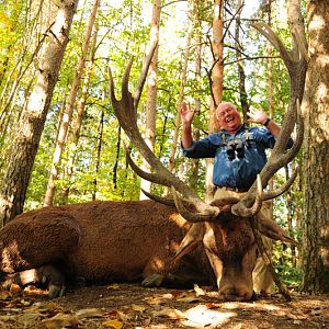 Red Stag Hunting in France