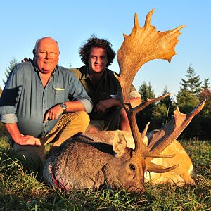 Hunt Fallow Deer France