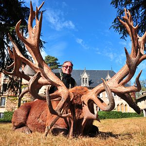 France Hunting Red Stag