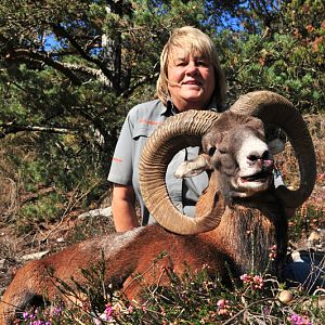 Hunt Mouflon France