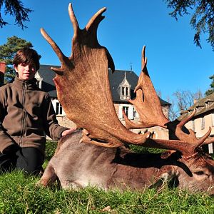 Hunting Fallow Deer France