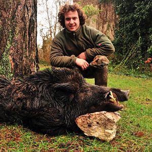 Wild Boar Hunt in France