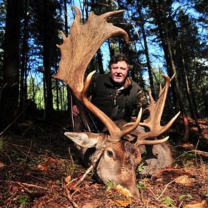 Hunting Fallow Deer France