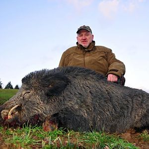 Hunt Wild Boar France