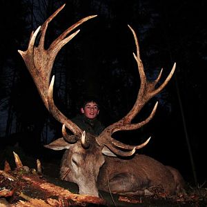 Hunting Red Stag France