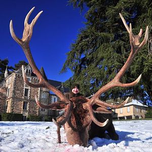 Red Stag Hunting in France