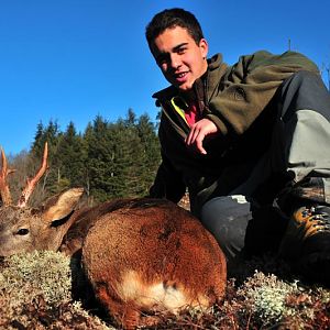 Hunting Roe Deer France