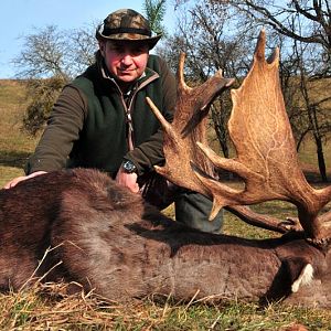 France Hunt Fallow Deer