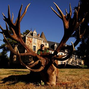 Red Stag Hunting in France