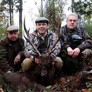 Sika Deer Hunt in France