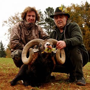 France Hunt Mouflon