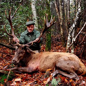 Red Stag Hunt in France