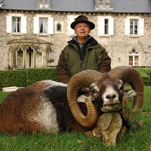 France Hunting Mouflon