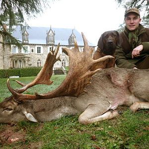 Hunting Fallow Deer France