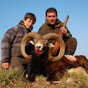 Mouflon Hunting in France