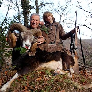 Mouflon Hunt in France