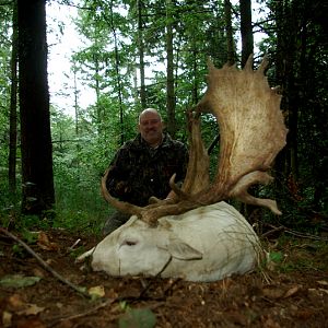 France Hunting Fallow Deer