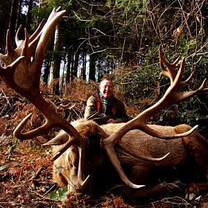 Red Stag Hunting in France