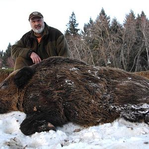 France Hunt Wild Boar