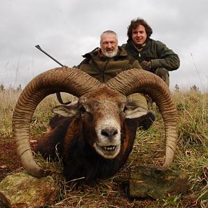 Mouflon Hunt in France