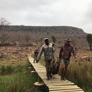 Hunting Bushbuck in South Africa