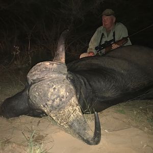 Cape Buffalo Hunting in South Africa