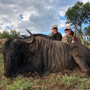 Hunting Blue Wildebeest South Africa