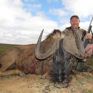 South Africa Hunting Black Wildebeest