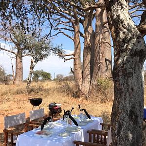 Bushveld Lunch South Africa