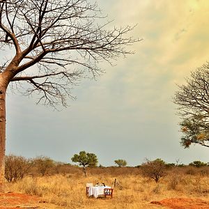 Bushveld Dinner surrounding by Boabab Trees