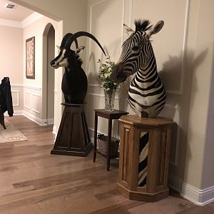 Sable Antelope & Burchell's Plain Zebra Shoulder Mount Pedestal Taxidermy