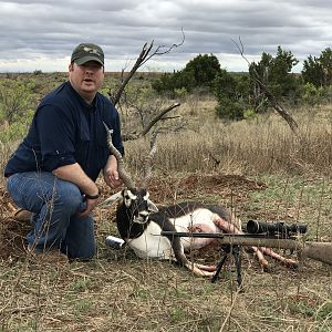 Hunting Blackbuck in Texas