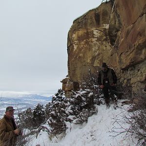 Mountain Lion Hunting in Colorado USA