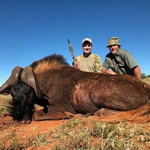 Hunt Black Wildebeest South Africa