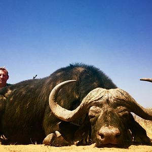 South Africa Hunt Cape Buffalo