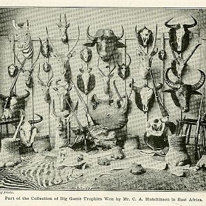 African trophies