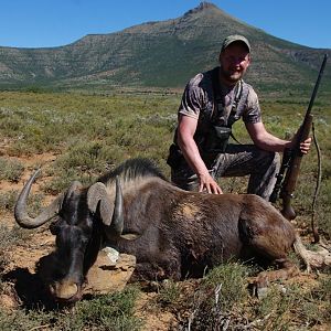 Hunt Black Wildebeest South Africa