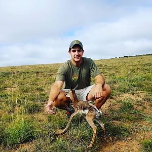 New born Springbok