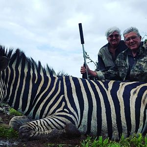 South Africa Hunt Burchell's Plain Zebra