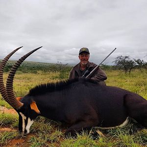 South Africa Hunt Sable Antelope